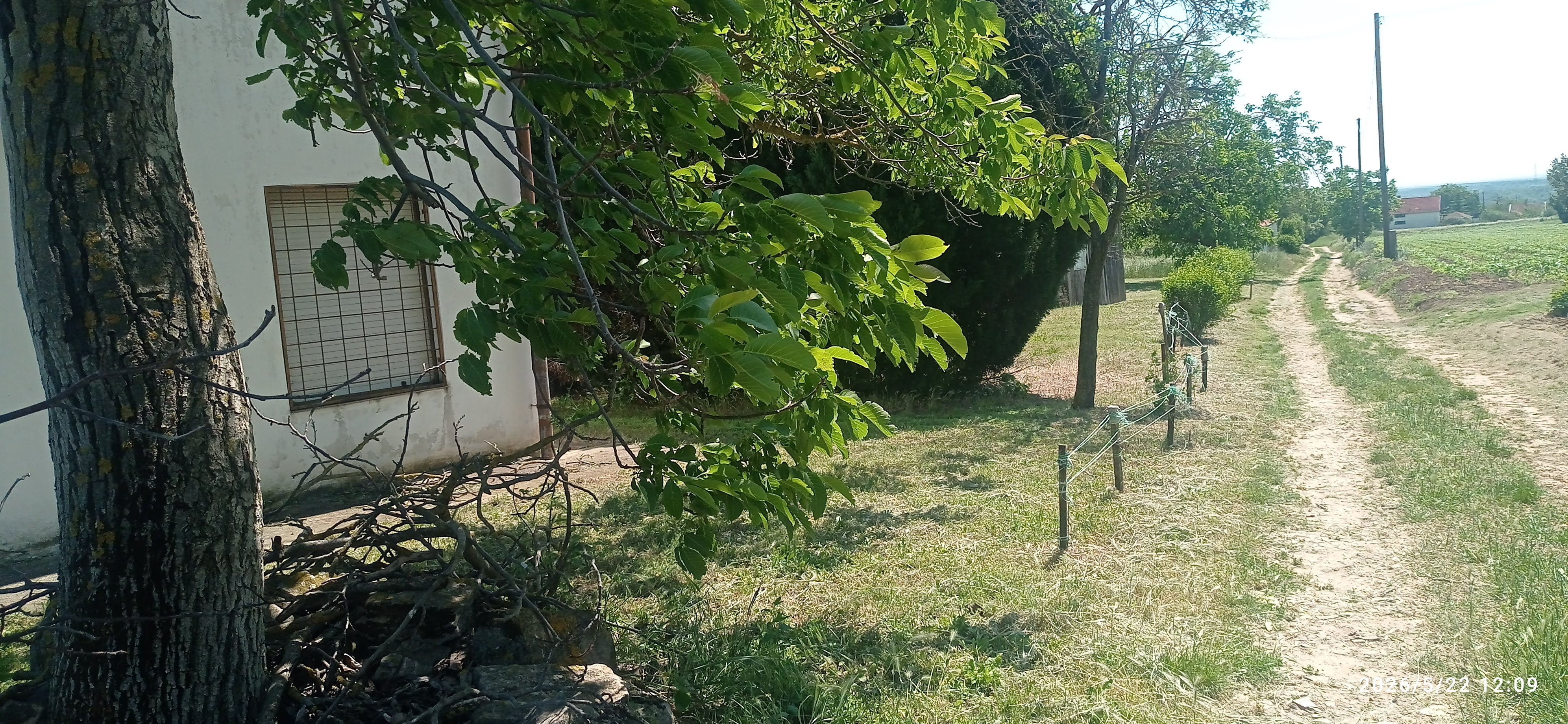Galéria kép